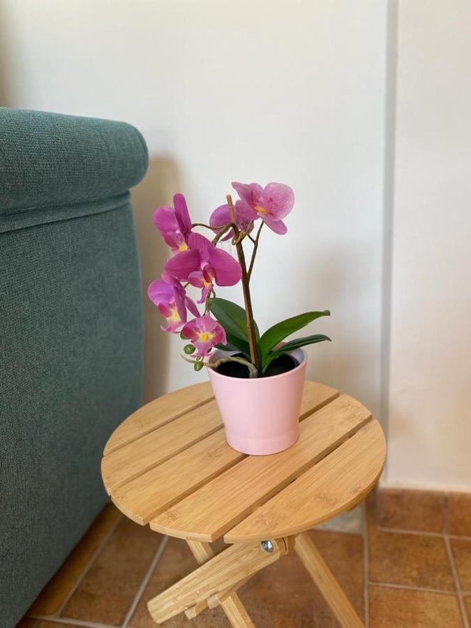 Willa Banana House Hermigua Zewnętrze zdjęcie